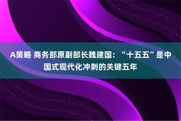 A策略 商务部原副部长魏建国：“十五五”是中国式现代化冲刺的关键五年