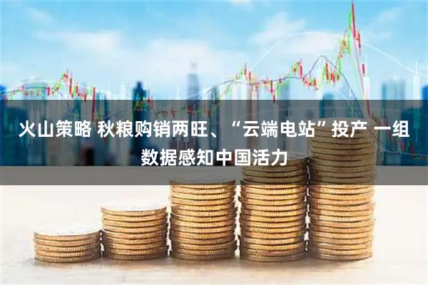火山策略 秋粮购销两旺、“云端电站”投产 一组数据感知中国活力