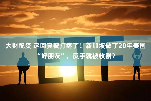 大财配资 这回真被打疼了！新加坡做了20年美国“好朋友”，反手就被收割？